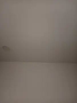 sasi_luna 라이브 XXX 채팅