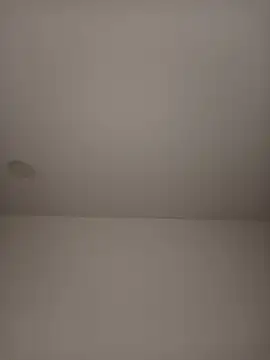 sasi_lunan Live XXX chat