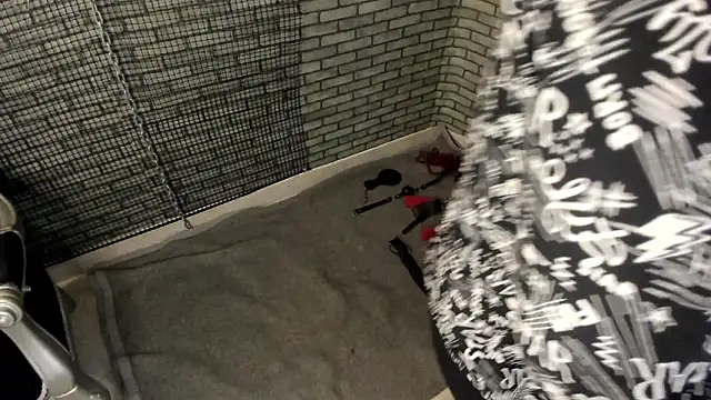 Chatroom XXX en direct de hillary_bigbutt