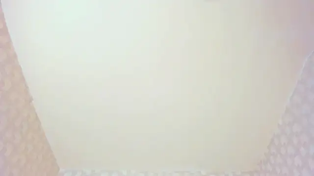 Pertunjukan Kamera Web NatsumiHun