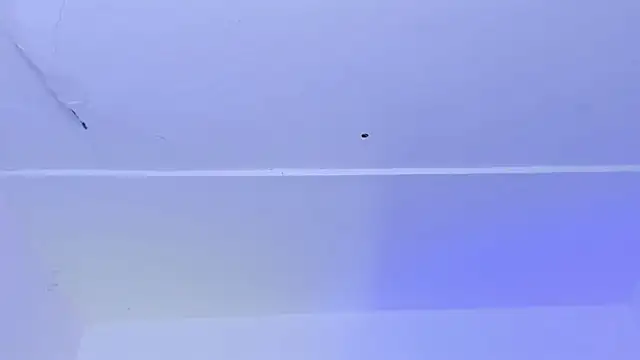 Adonys_Lewis_ Live XXX-chat