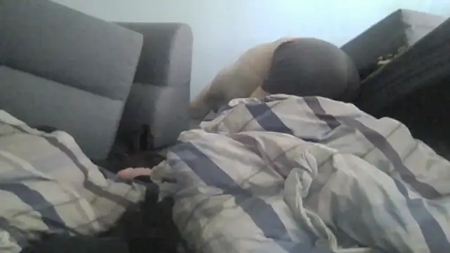 chceciedalsiebie – Kamerová šou