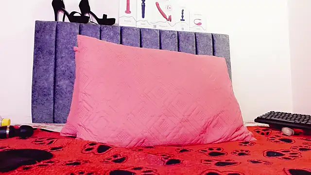 Evolettee______ Chat XXX live