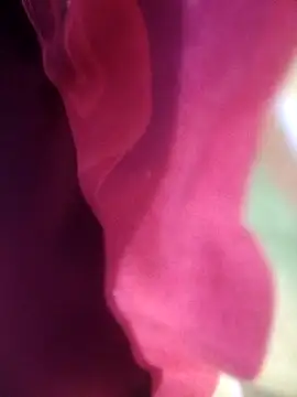 johnkennedy02 Chat XXX live