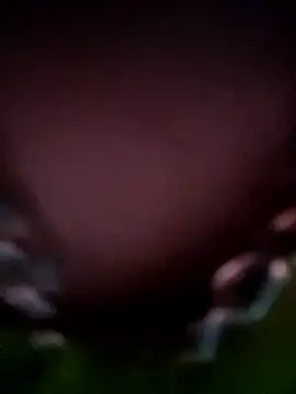 him220 在線直播表演