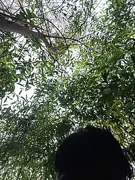 96Rohon – Naživo XXX chat