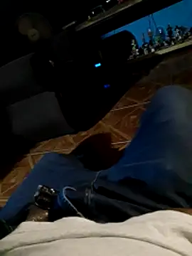 Show webcam de holagato22