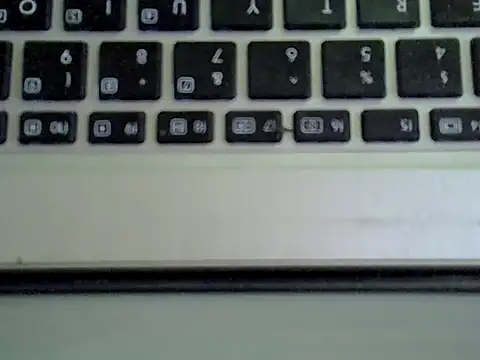 Show webcam de Delicious-D