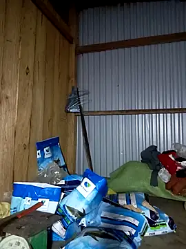 Sembang XXX Secara Langsung Cute-flowers