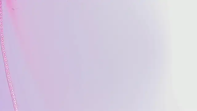 Sembang XXX Secara Langsung ximena_vasquez8