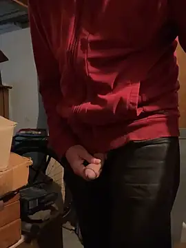 Show webcam de stevy4you