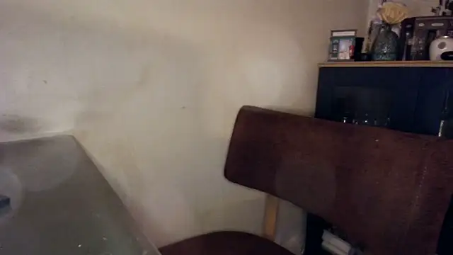 Show modela Hgay6935 na web-kameri