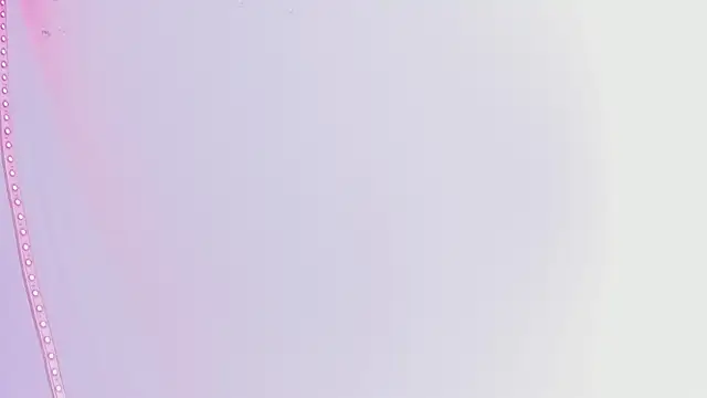 ximena_vasquez8 Chat XXX live