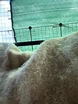 maniackle: διαδικτυακό σόου στην κάμερα