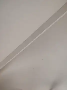 Show webcam de Mannii999