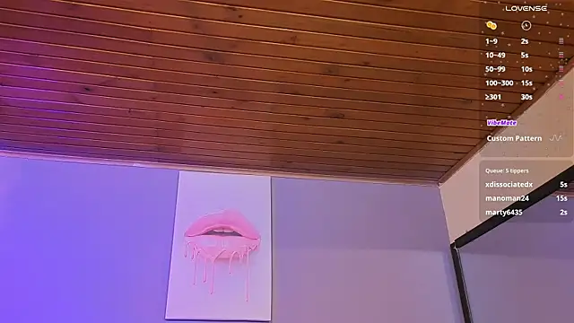 Hanzking01 élő XXX-chatje