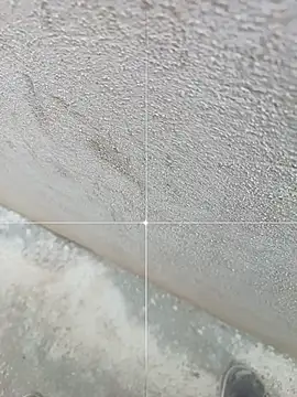 sexofbro Adlı Modelin Web Kamerası Şovu