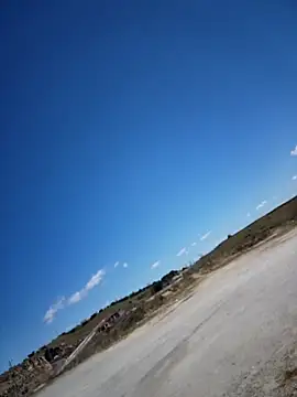 bellapaty's Live XXX Chat