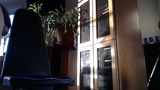 Suzys_Secrets Webcam-Show