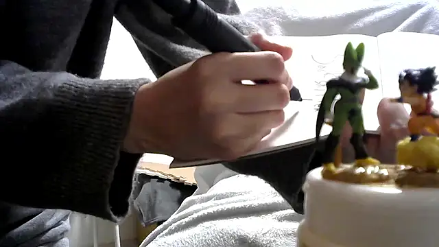 leopiii-iiJPのウェブカメラショー