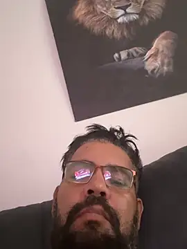 Show webcam de adgato