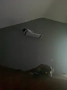 Chat XXX ao vivo de Nephew74