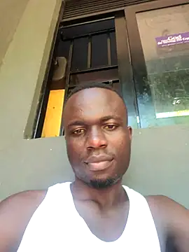 Javan_ élő XXX-chatje