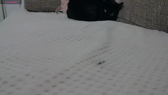 Leah_Brooks' Live XXX Chat