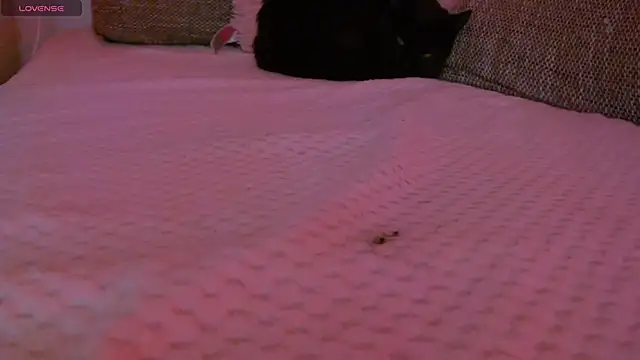 Sembang XXX Secara Langsung Leah_Brooks