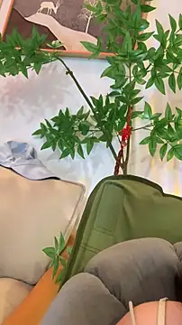 Chat XXX en directo de zhizhinaigai