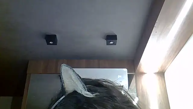 SkinnyKitten webcam show