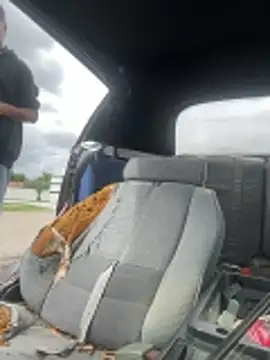 Chat XXX en directo de ZF-Athlete