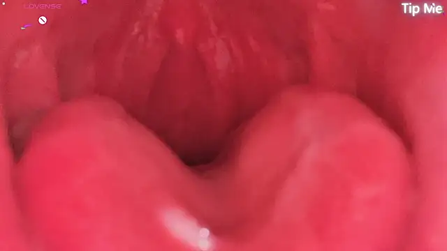 donghuangtaiyi--- Show Webcam