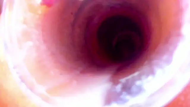 NikkaHOTx Webcam-Show