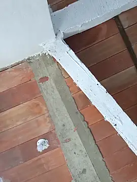 Cataleya_ja Live XXX-Chat