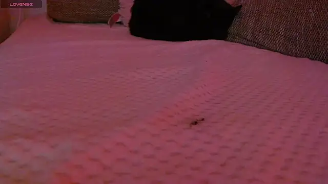 Chat XXX en directo de Leah_Brooks