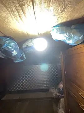 Chat XXX en directo de Heaoi_hwao