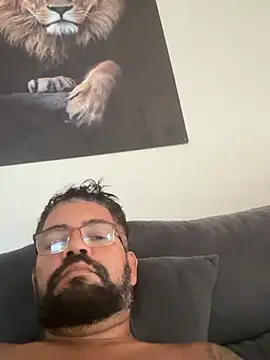 Show de adgato na webcam