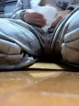 mgnhiroyukin Webbikameraesitys