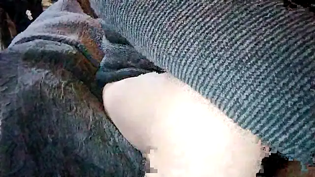 Oridama123: διαδικτυακό σόου στην κάμερα