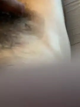 j1991j 网络视讯表演