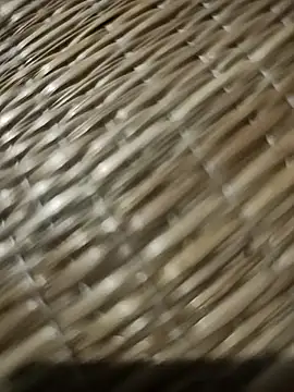 Show webcam de narutojeeva