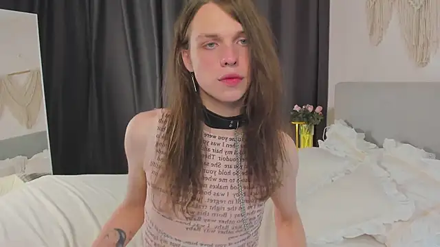 Louis_Hayesn Webbikameraesitys