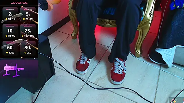 jeisonstarkのウェブカメラショー