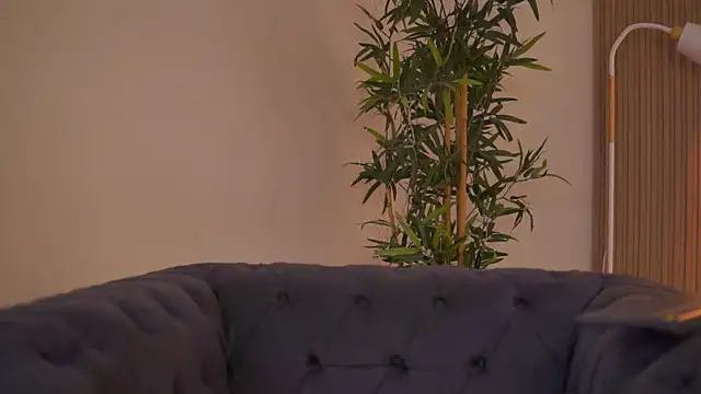 Aisha_Bee 라이브 XXX 채팅