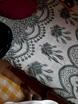 Pertunjukan Kamera Web piedic