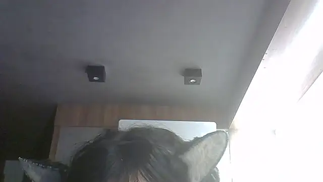 Show de webcam de SkinnyKitten