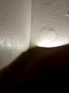 Show webcam de KingBlackStallion