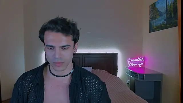 Вебкам-шоу prince_aladdin