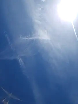 UncutHammer69 Show in webcam